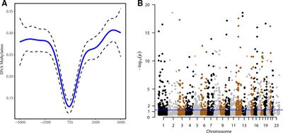 Genome-Wide Identification and Characterization of DNA Methylation and Long Non-Coding RNA Expression in Gastric Cancer